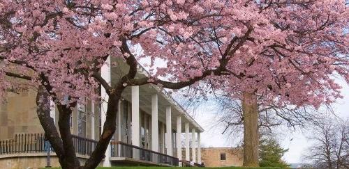 spring campus shot of library